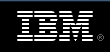 IBM Business Services
